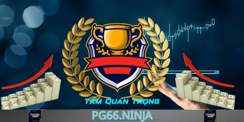 xvr.us.com__tầm quan trọng