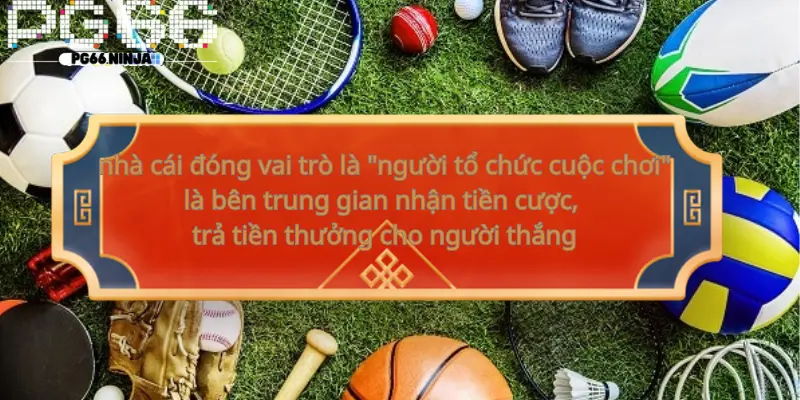 xvr.us.com__Nhà cái cá cược là gì