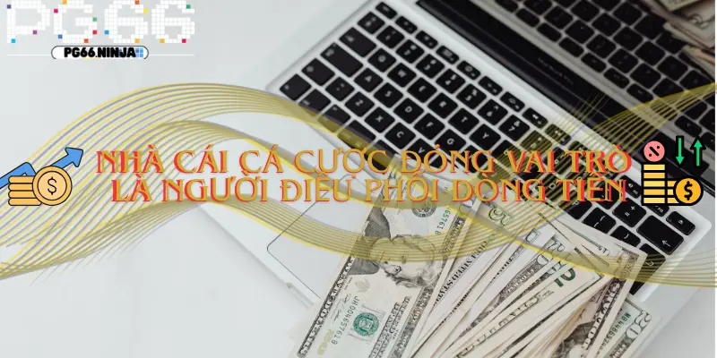 xvr.us.com__Vai trò thực sự của nhà cái cá cược